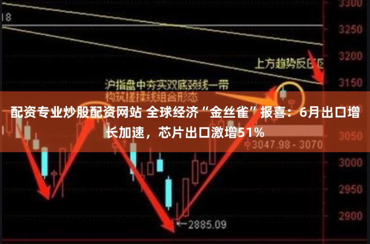 配资专业炒股配资网站 全球经济“金丝雀”报喜：6月出口增长加速，芯片出口激增51%