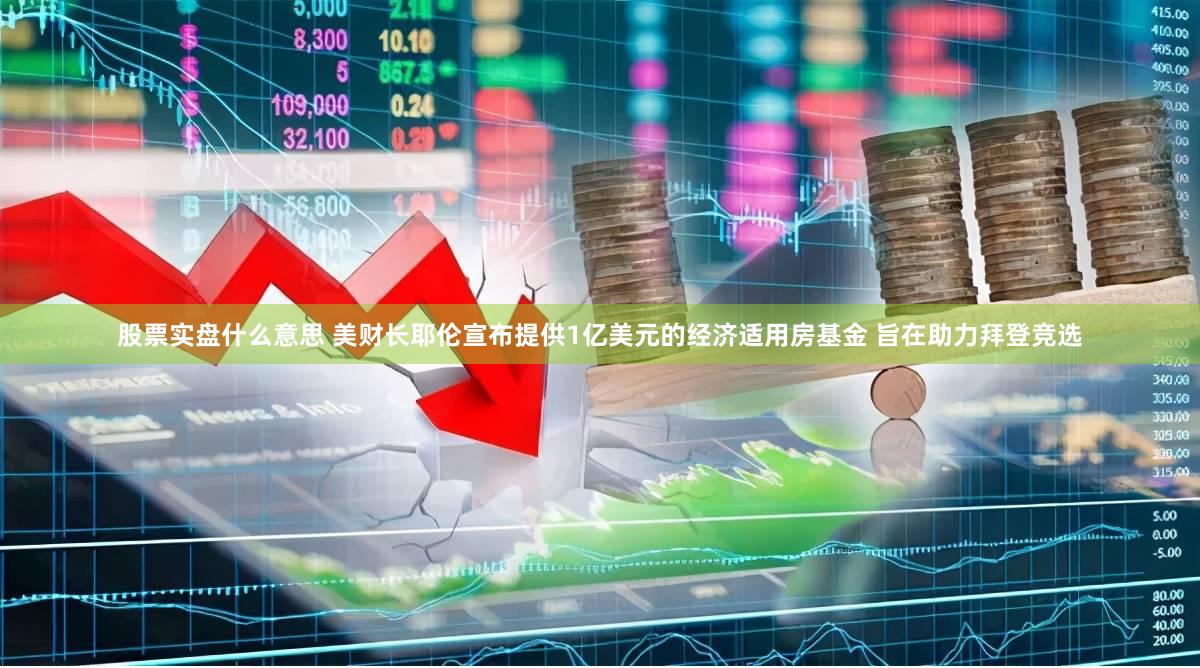 股票实盘什么意思 美财长耶伦宣布提供1亿美元的经济适用房基金 旨在助力拜登竞选