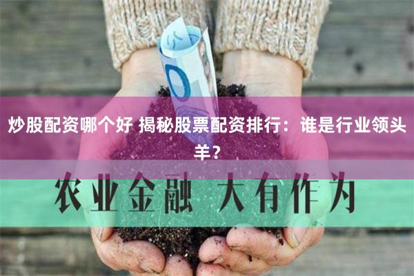 炒股配资哪个好 揭秘股票配资排行：谁是行业领头羊？